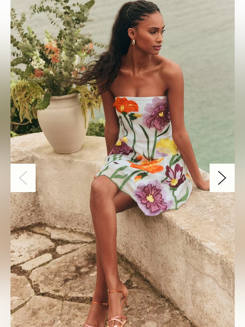 By Anthropologie Floral Organza Mini Dress size medium